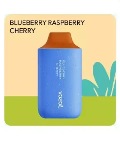Vozol 6000 – Blueberry Raspberry Cherry Puff