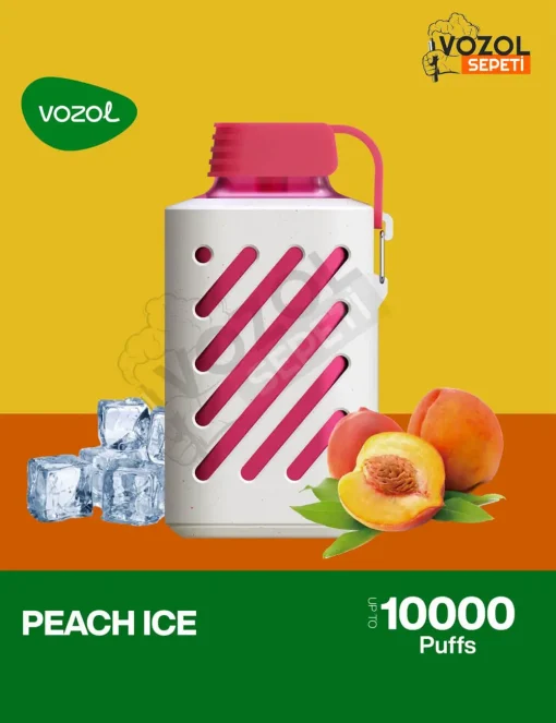 Vozol 10000 Peach ice