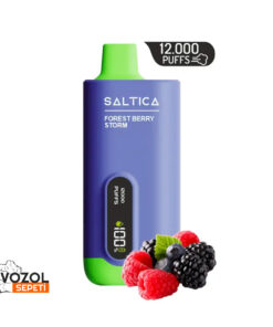 Saltica 12000 Forest Berry Storm Puff