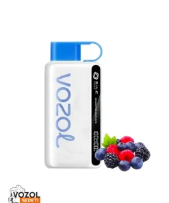 Vozol 12000 Mixed Berries Puff